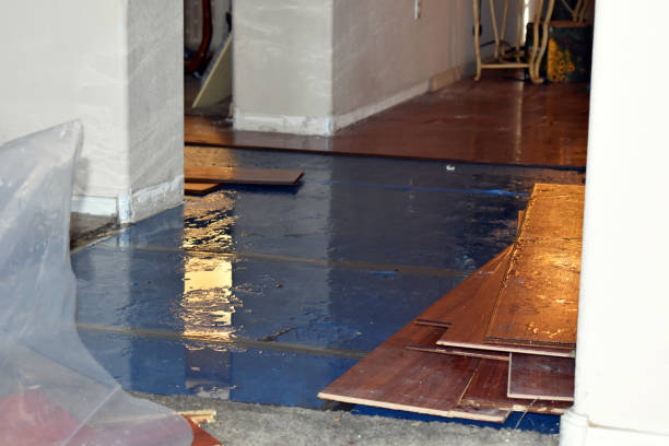 Professional Water Extraction technician working in Trevor, WI